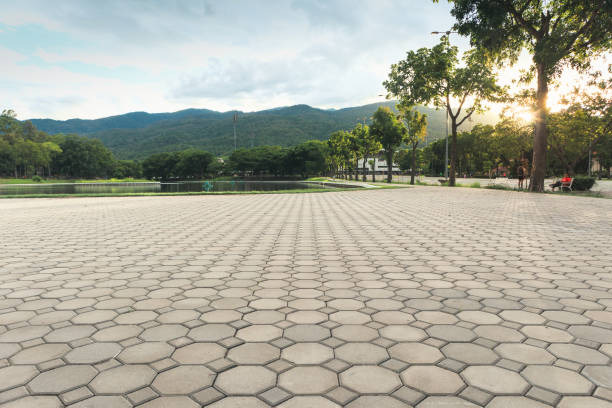 Best Driveway Paving Contractor  in Mount Jackson, VA