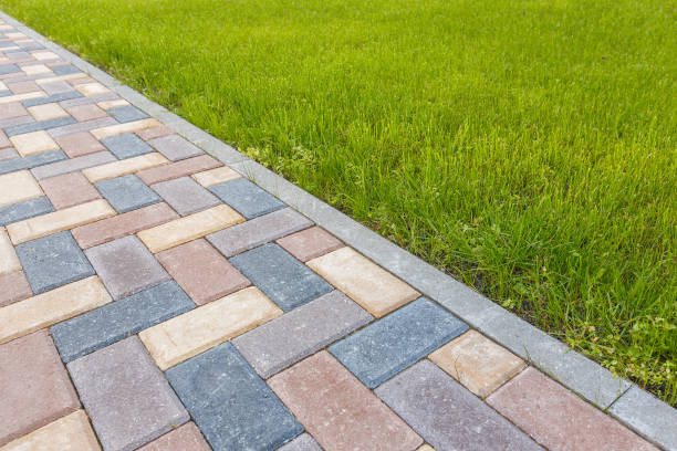 Best Brick Driveway Pavers  in Mount Jackson, VA